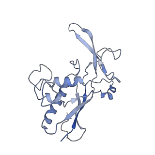 0516_6nud_O_v1-3
Small conformation of ssRNA-bound CRISPR_Csm complex