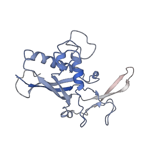 0516_6nud_P_v1-2
Small conformation of ssRNA-bound CRISPR_Csm complex