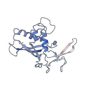 0516_6nud_P_v1-3
Small conformation of ssRNA-bound CRISPR_Csm complex