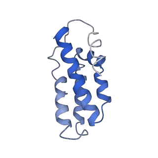 0519_6nue_A_v1-2
Small conformation of apo CRISPR_Csm complex