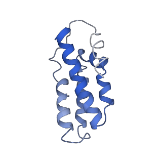 0519_6nue_A_v1-3
Small conformation of apo CRISPR_Csm complex