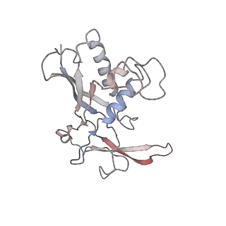 0519_6nue_C_v1-2
Small conformation of apo CRISPR_Csm complex