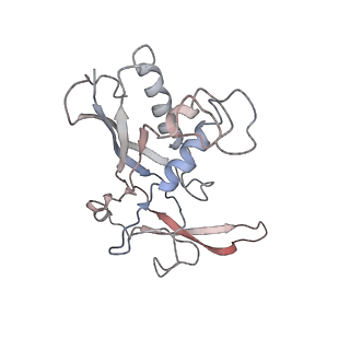 0519_6nue_C_v1-3
Small conformation of apo CRISPR_Csm complex