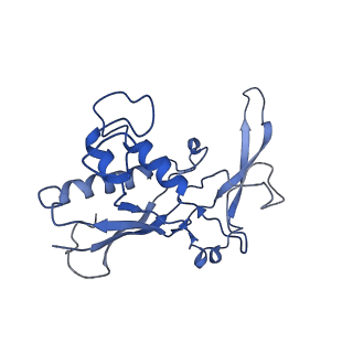 0519_6nue_E_v1-2
Small conformation of apo CRISPR_Csm complex