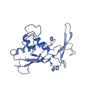 0519_6nue_E_v1-3
Small conformation of apo CRISPR_Csm complex