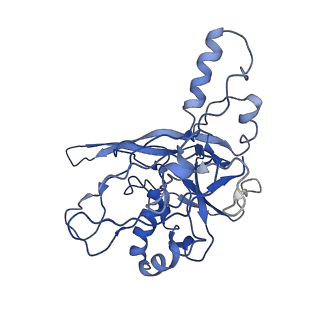 0519_6nue_I_v1-2
Small conformation of apo CRISPR_Csm complex