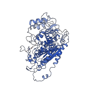 0519_6nue_J_v1-2
Small conformation of apo CRISPR_Csm complex