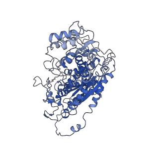 0519_6nue_J_v1-3
Small conformation of apo CRISPR_Csm complex