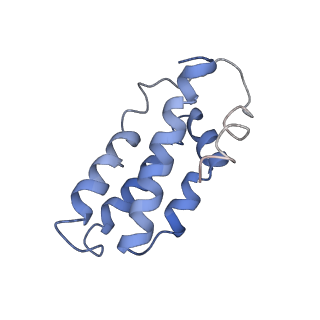 0519_6nue_M_v1-2
Small conformation of apo CRISPR_Csm complex