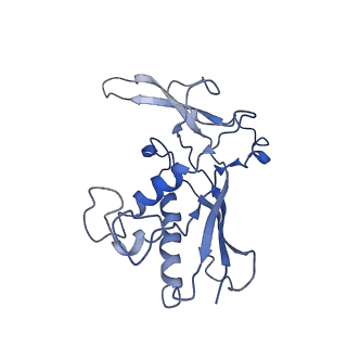 0519_6nue_N_v1-2
Small conformation of apo CRISPR_Csm complex