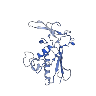 0519_6nue_N_v1-3
Small conformation of apo CRISPR_Csm complex