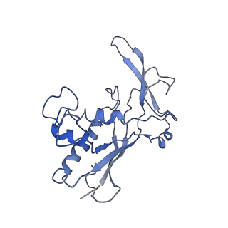 0519_6nue_O_v1-2
Small conformation of apo CRISPR_Csm complex
