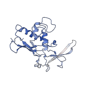 0519_6nue_P_v1-2
Small conformation of apo CRISPR_Csm complex