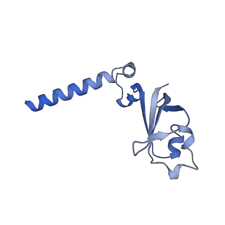 0520_6nur_B_v1-3
SARS-Coronavirus NSP12 bound to NSP7 and NSP8 co-factors