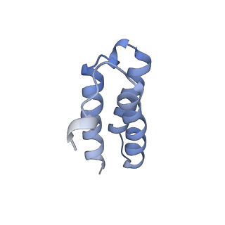 0520_6nur_C_v1-3
SARS-Coronavirus NSP12 bound to NSP7 and NSP8 co-factors