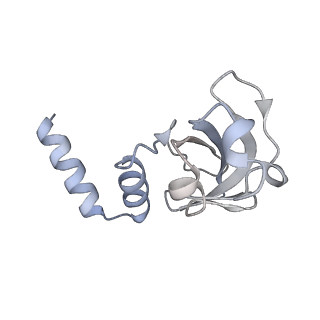 0520_6nur_D_v1-3
SARS-Coronavirus NSP12 bound to NSP7 and NSP8 co-factors