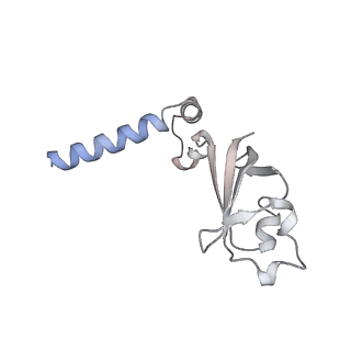 0521_6nus_B_v1-3
SARS-Coronavirus NSP12 bound to NSP8 co-factor