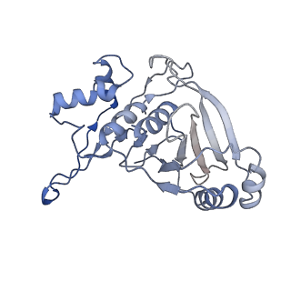 0523_6nuw_B_v1-2
Yeast Ctf19 complex