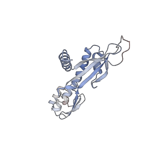 0523_6nuw_C_v1-2
Yeast Ctf19 complex