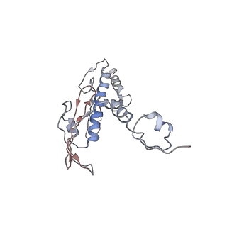 0523_6nuw_D_v1-2
Yeast Ctf19 complex