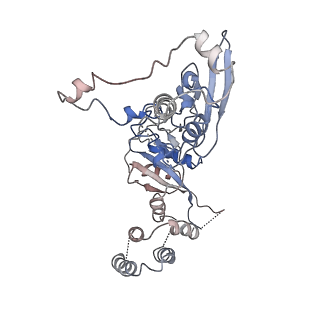 0523_6nuw_E_v1-2
Yeast Ctf19 complex