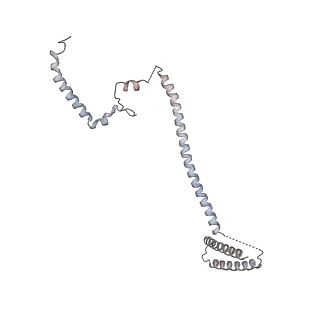 0523_6nuw_F_v1-2
Yeast Ctf19 complex