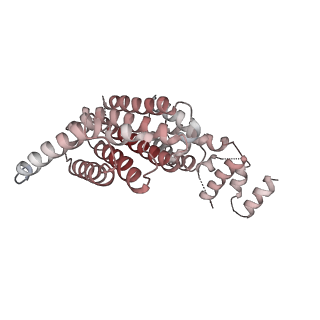 0523_6nuw_H_v1-2
Yeast Ctf19 complex