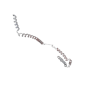 0523_6nuw_J_v1-2
Yeast Ctf19 complex