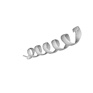 0523_6nuw_U_v1-2
Yeast Ctf19 complex