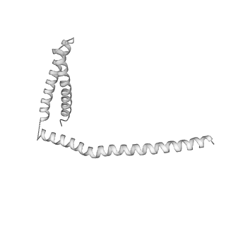 0523_6nuw_X_v1-2
Yeast Ctf19 complex