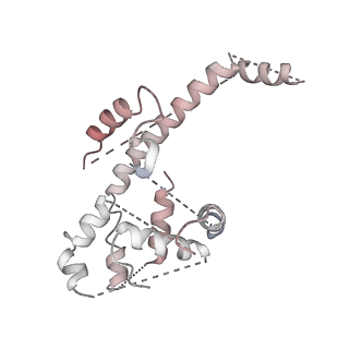 0523_6nuw_Y_v1-2
Yeast Ctf19 complex