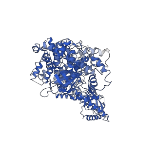 12600_7nur_A_v1-1
Structure of the Toxoplasma gondii kinase Ron13, kinase-dead mutant