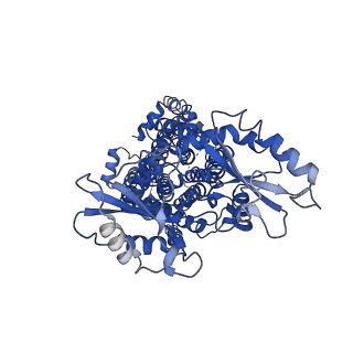 12604_7nvh_A_v1-3
Cryo-EM structure of the mycolic acid transporter MmpL3 from M. tuberculosis