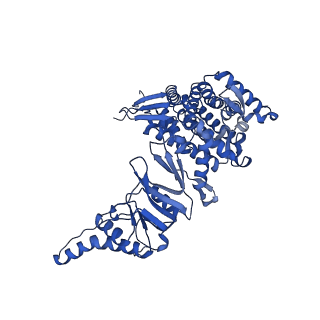 12606_7nvm_A_v1-3
Human TRiC complex in closed state with nanobody Nb18, actin and PhLP2A bound
