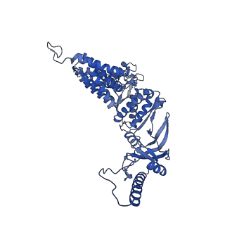12606_7nvm_B_v1-3
Human TRiC complex in closed state with nanobody Nb18, actin and PhLP2A bound