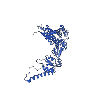 12606_7nvm_D_v1-3
Human TRiC complex in closed state with nanobody Nb18, actin and PhLP2A bound