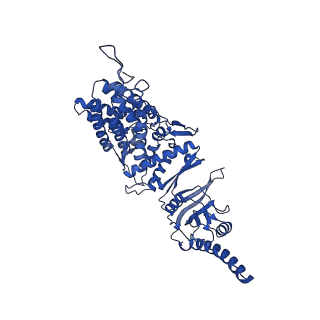12606_7nvm_E_v1-3
Human TRiC complex in closed state with nanobody Nb18, actin and PhLP2A bound