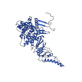 12606_7nvm_H_v1-3
Human TRiC complex in closed state with nanobody Nb18, actin and PhLP2A bound