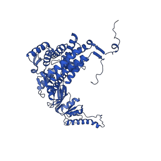 12606_7nvm_Q_v1-3
Human TRiC complex in closed state with nanobody Nb18, actin and PhLP2A bound