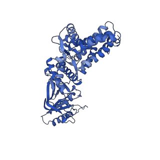 12606_7nvm_Z_v1-3
Human TRiC complex in closed state with nanobody Nb18, actin and PhLP2A bound