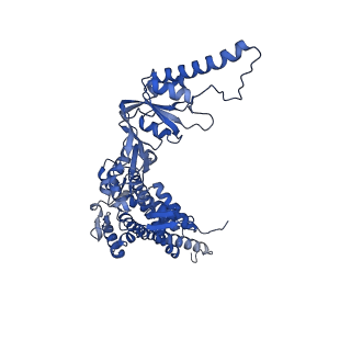 12606_7nvm_d_v1-3
Human TRiC complex in closed state with nanobody Nb18, actin and PhLP2A bound