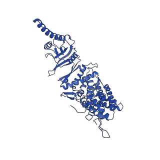 12606_7nvm_e_v1-3
Human TRiC complex in closed state with nanobody Nb18, actin and PhLP2A bound