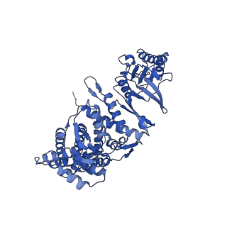 12606_7nvm_g_v1-3
Human TRiC complex in closed state with nanobody Nb18, actin and PhLP2A bound