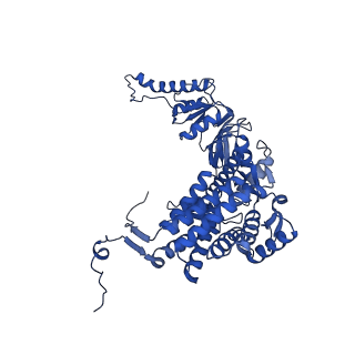 12606_7nvm_q_v1-3
Human TRiC complex in closed state with nanobody Nb18, actin and PhLP2A bound
