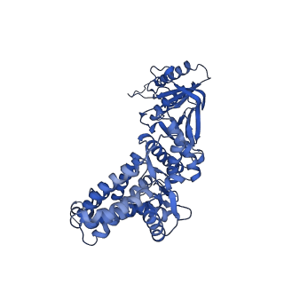 12606_7nvm_z_v1-3
Human TRiC complex in closed state with nanobody Nb18, actin and PhLP2A bound