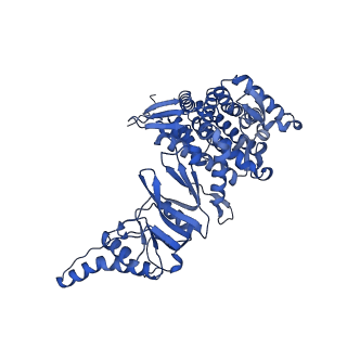 12607_7nvn_A_v1-3
Human TRiC complex in closed state with nanobody and tubulin bound