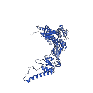 12607_7nvn_D_v1-3
Human TRiC complex in closed state with nanobody and tubulin bound