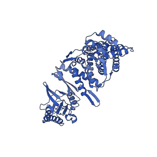 12607_7nvn_G_v1-3
Human TRiC complex in closed state with nanobody and tubulin bound