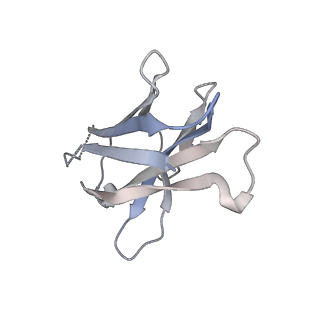 12607_7nvn_N_v1-3
Human TRiC complex in closed state with nanobody and tubulin bound