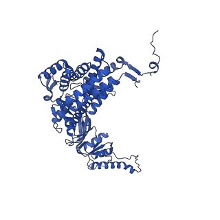 12607_7nvn_Q_v1-3
Human TRiC complex in closed state with nanobody and tubulin bound